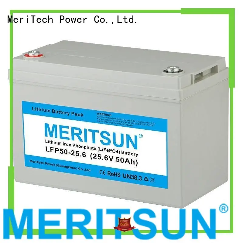 2000 cycles lifepo4 battery price battery MERITSUN company 1