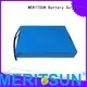 battery cycle solar street light lithium battery rechargeable one MERITSUN company 1