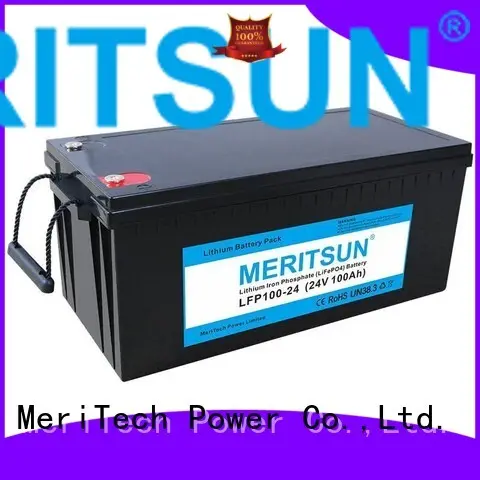 Hot cycle lifepo4 battery price 24v MERITSUN Brand 1