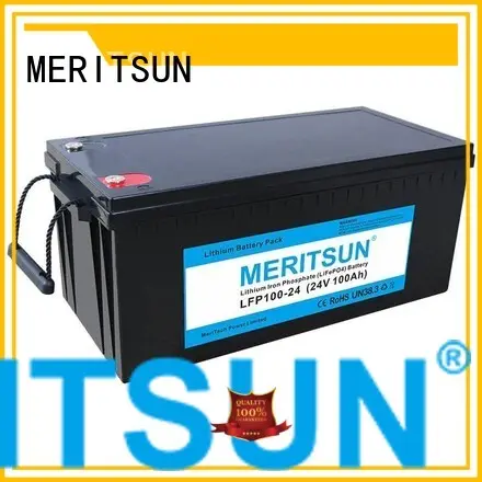 Wholesale ion lifepo4 battery price 24v MERITSUN Brand 1