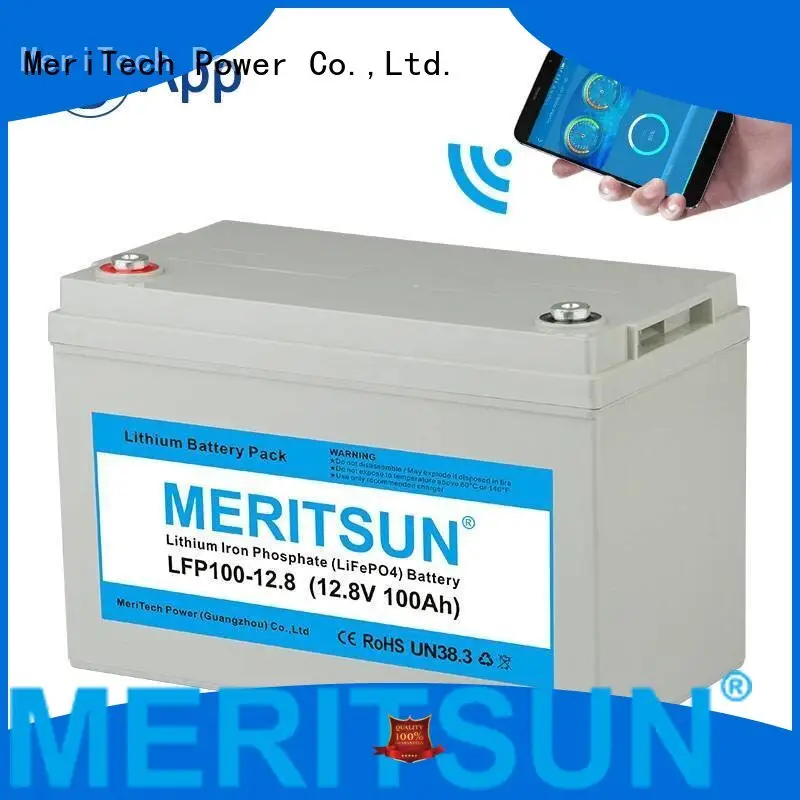 lifepo4 battery price cycles Bulk Buy cycle MERITSUN 1