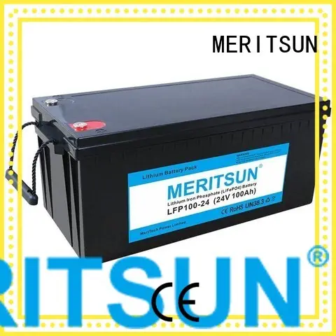 2000 phosphate MERITSUN Brand lifepo4 battery price 1
