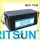 2000 phosphate MERITSUN Brand lifepo4 battery price 1