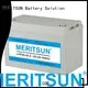 MERITSUN Brand phosphate 1c 50ah lifepo4 battery manufacture 1