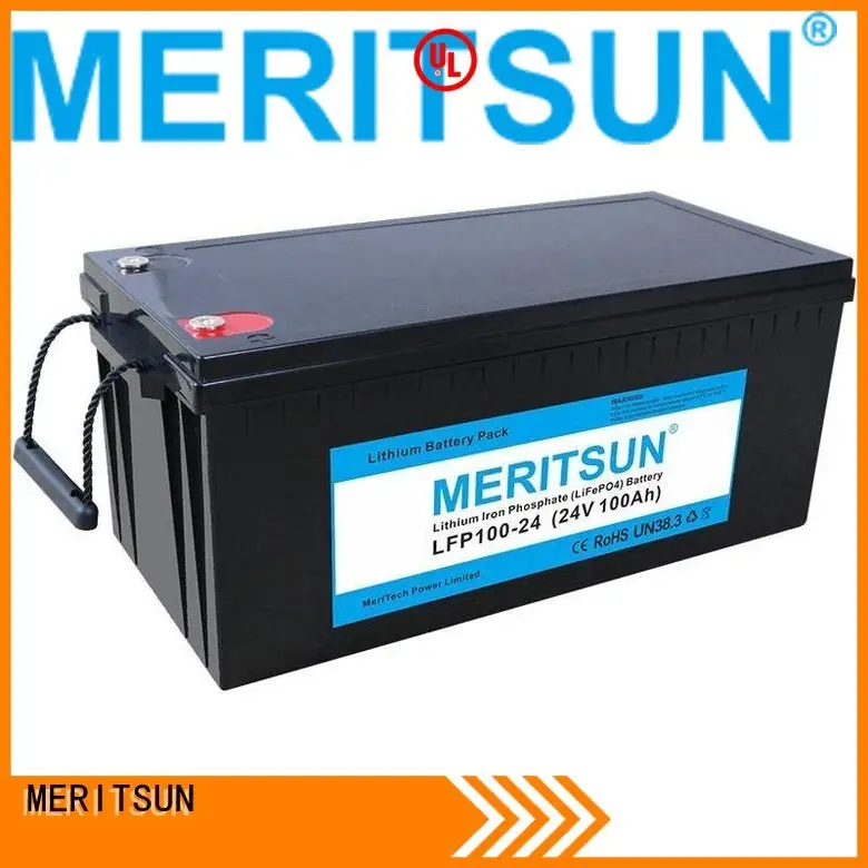 lifepo4 battery price lifepo4 liion 2000 MERITSUN Brand lifepo4 battery 1