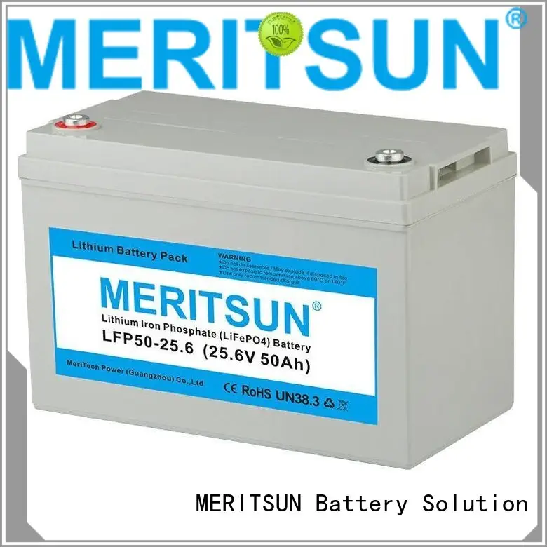 Wholesale lifepo4 polymer lifepo4 battery MERITSUN Brand 1
