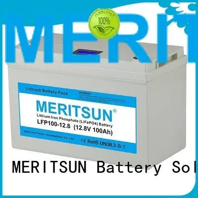 control lithium lifepo4 lifepo4 battery price MERITSUN Brand 1
