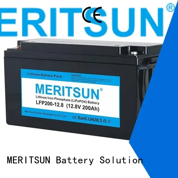100dod lifepo4 battery 1c MERITSUN company 1
