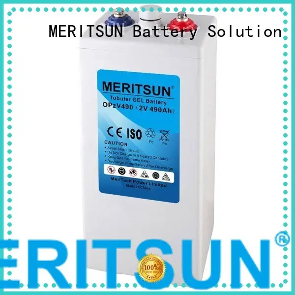 Quality MERITSUN Brand terminal cycle opzv battery 1