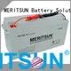 tubular Custom deep opzv battery flooded MERITSUN 1