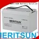 vrla gel battery terminal tubular MERITSUN Brand company 1