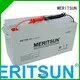 Quality MERITSUN Brand vrla gel battery gel 1