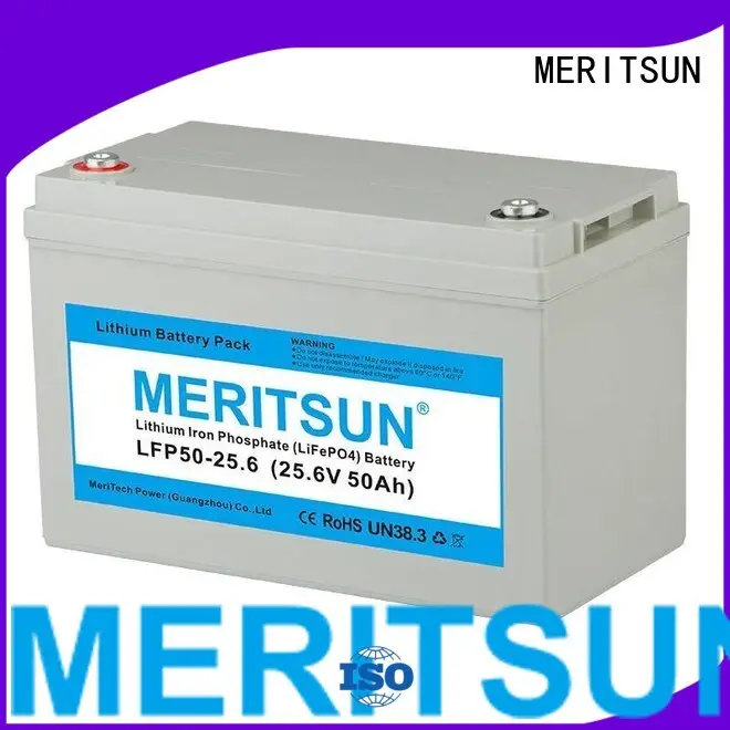 ion lifepo4 battery price 12v MERITSUN company 1
