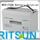 MERITSUN Brand tubular opzv vrla gel battery 1
