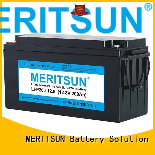 Custom lcd pack lifepo4 battery MERITSUN 2000 1