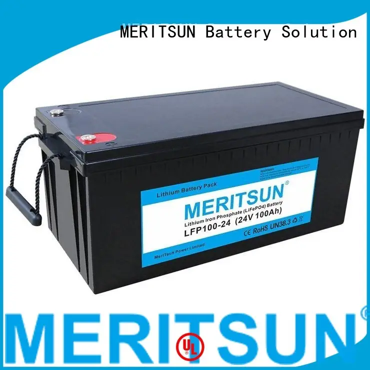 Hot lifepo4 battery ion MERITSUN Brand 1