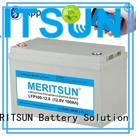 MERITSUN professional lithium battery manufacturers solar for house 1