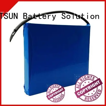 low-carbon battery for solar street light customized for LED light MERITSUN 1