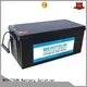 MERITSUN rechargeable lifepo4 battery manufacturers supplier for building 1