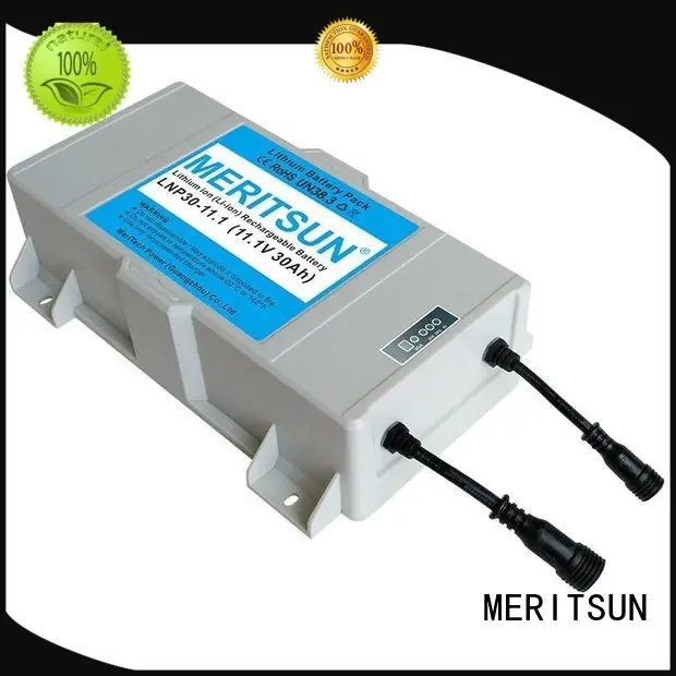 solar street light manufacturer customized for LED light MERITSUN 1