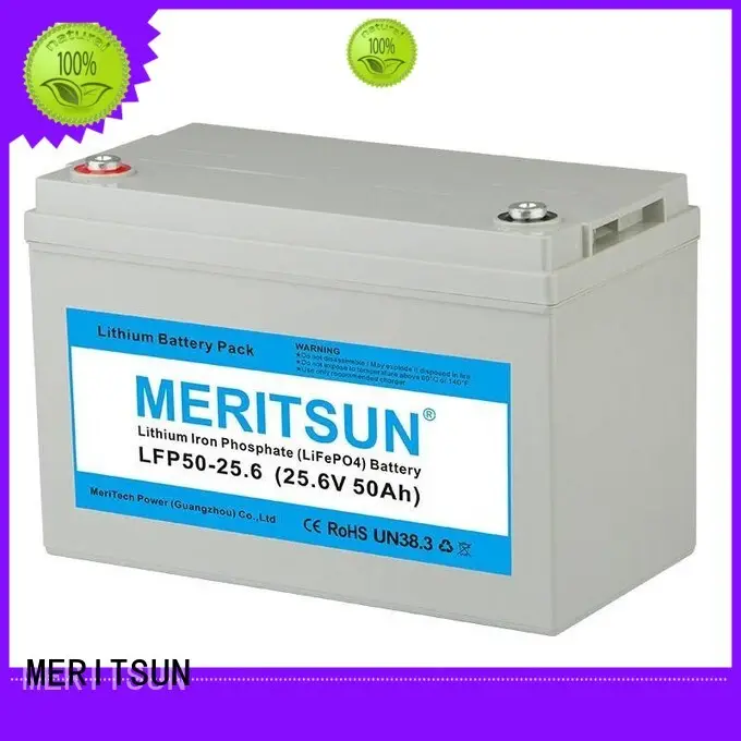 MERITSUN lithium ion rechargeable battery series for house 1