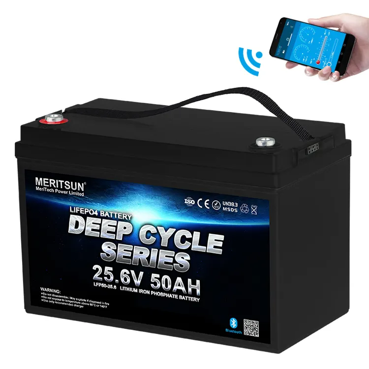 MERITSUN high power lifepo4 battery 48v series for home use 2
