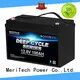MERITSUN lithium batteries for sale customized for building 1