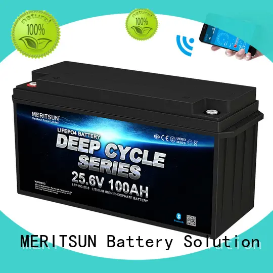 rechargeable lithium iron battery wholesale for building 1