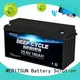 rechargeable lithium iron battery wholesale for building 1
