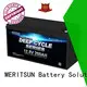 MERITSUN lifepo4 battery pack customized for house 1