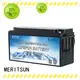 MERITSUN wholesale lithium battery low temperature suppliers for car 1