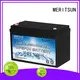 MERITSUN low temperature li-ion battery factory for car 1
