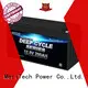 MERITSUN long cycle life lithium iron battery wholesale for villa 1