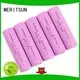 MERITSUN lithium ion cell manufacturer for telecom 1