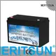 latest low temperature li-ion battery supply for electric motorcycle 1