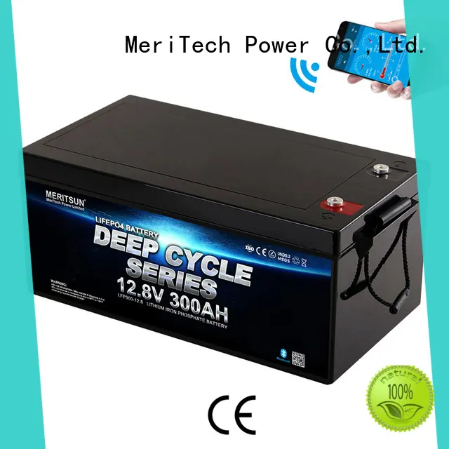 MERITSUN wholesale lithium battery with bluetooth supply for robot 1