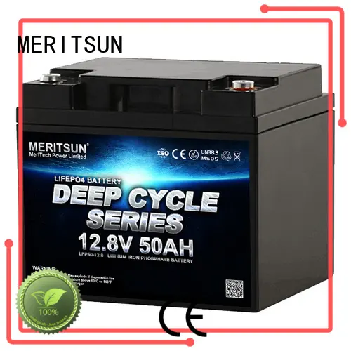 MERITSUN deep cycle lithium battery price customized for home use 1