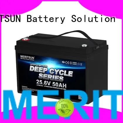 professional lifepo4 battery 48v customized for building 1