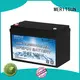 MERITSUN low temperature lithium battery suppliers for car 1