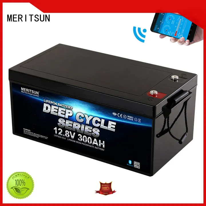 MERITSUN custom bluetooth lithium battery factory for boat 1