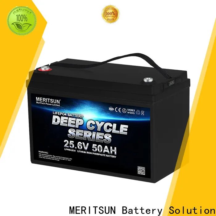 MERITSUN lifepo4 battery 48v supplier for building 1