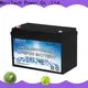 MERITSUN lithium battery low temperature company for house 1