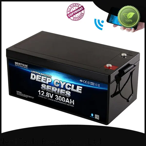 custom bluetooth lithium battery with good price for boat 1