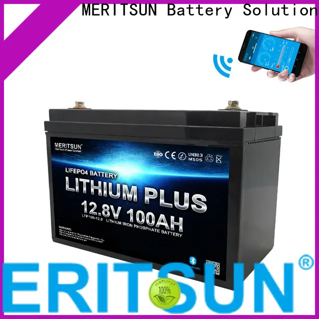 MERITSUN lithium battery with bluetooth factory for boat 1