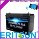 MERITSUN lithium battery with bluetooth factory for boat 1