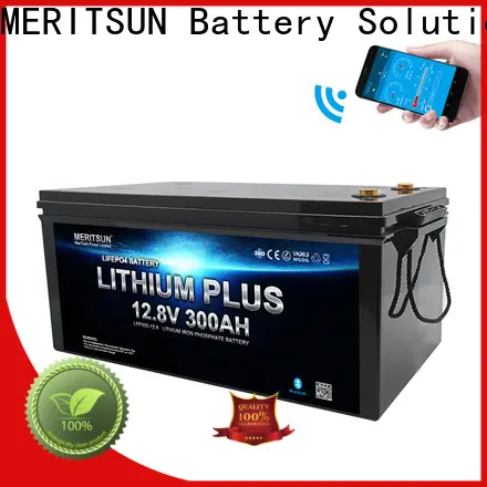 MERITSUN custom lithium battery with bluetooth factory for solar street light 1