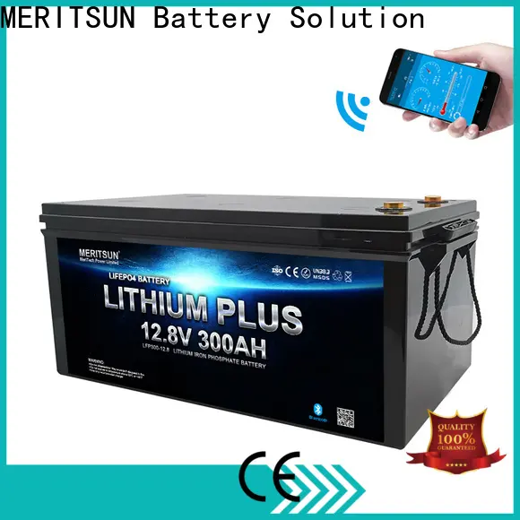 MERITSUN wholesale lithium battery with bluetooth suppliers for robot 1