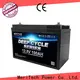MERITSUN lifepo4 battery 12v 100ah series for house 1