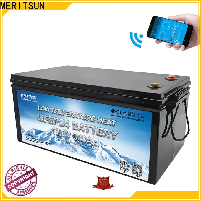 wholesale low temperature lithium ion battery company for house 1