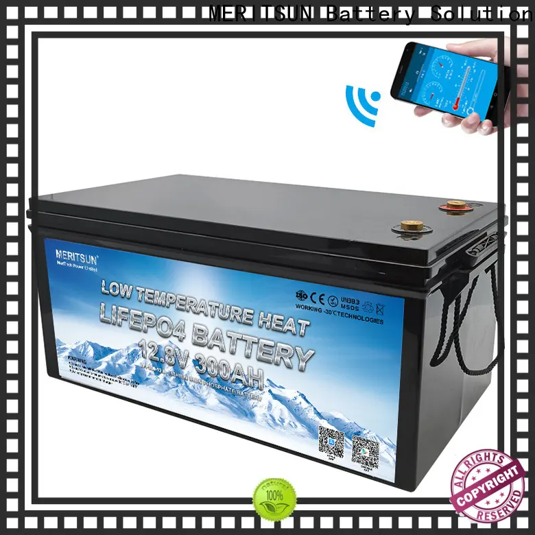 MERITSUN low temperature lithium battery supply for car1 1